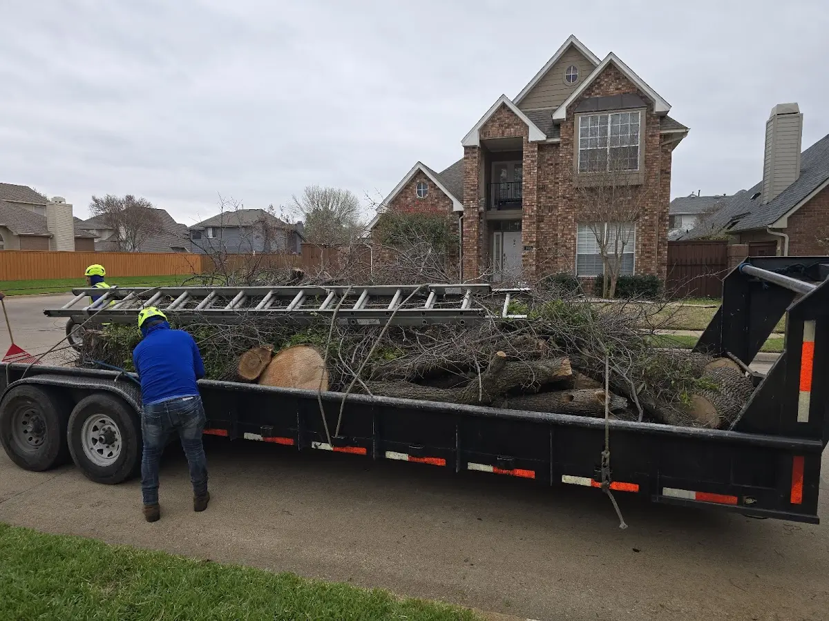 Expert Tree Pest Control with proper safety equipment in Granite Falls